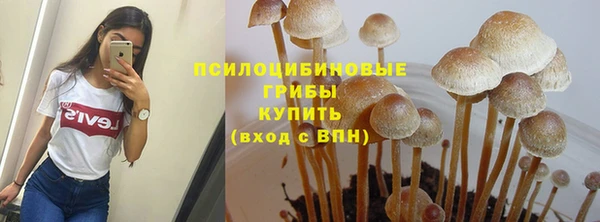 трава Медногорск
