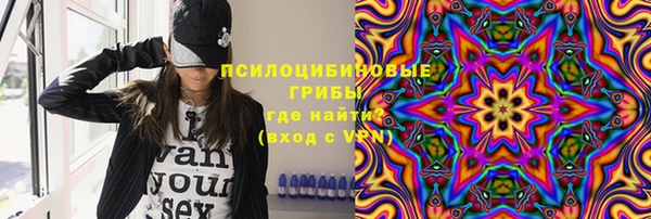 трава Медногорск