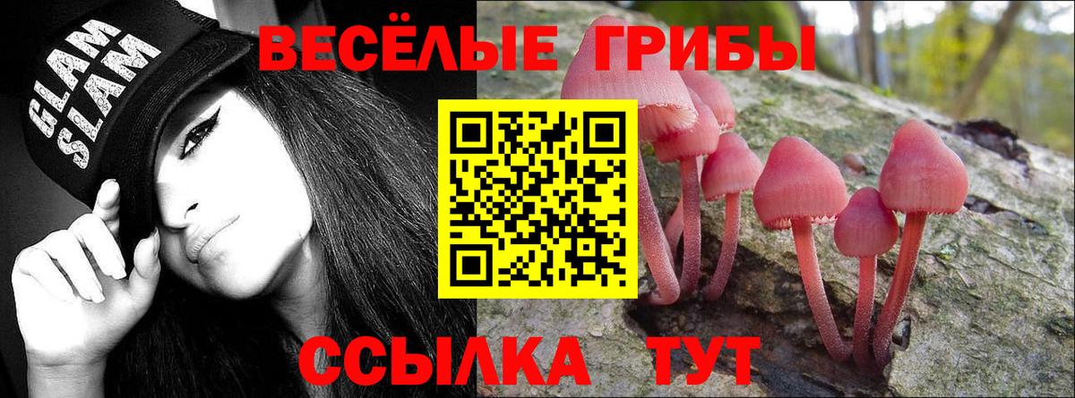 Смоленск  Псилоцибиновые грибы ЛСД  Вход с VPN 